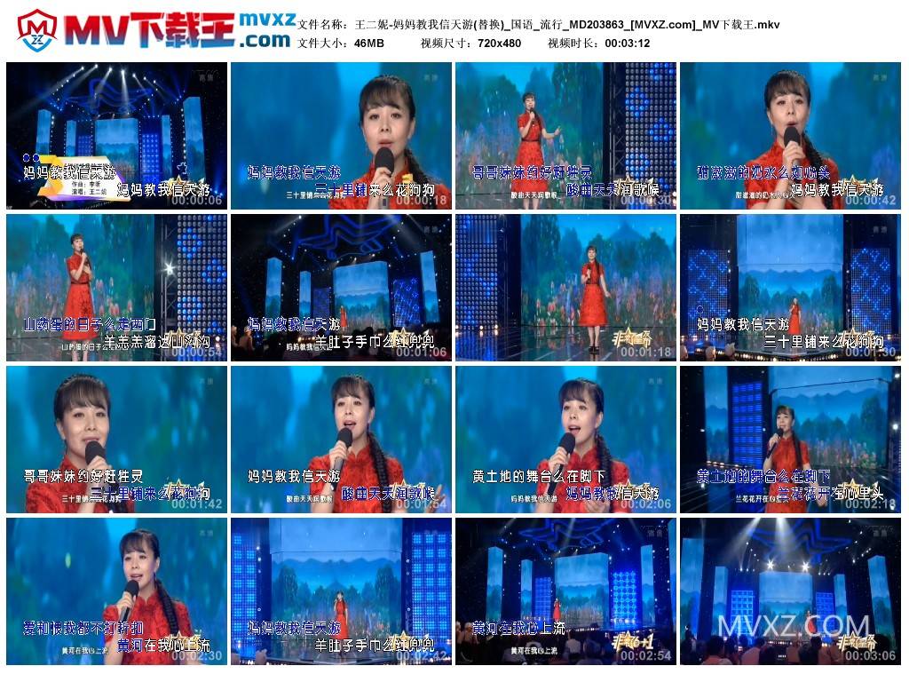 王二妮-妈妈教我信天游(替换)_国语_流行_MD203863